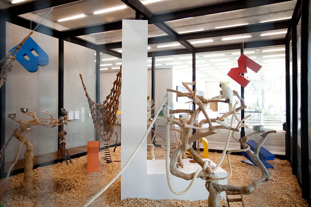 Bik Van der Pol, 'Speechless' (2015), installation view at the Pérez Art Museum Miami (all photos by Oriol Tarridas, courtesy Pérez Art Museum Miami, unless noted otherwise)