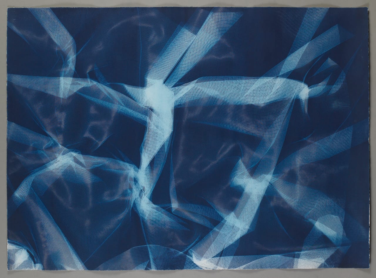 cyanotype2