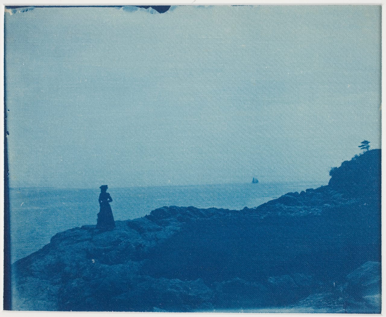 cyanotype8