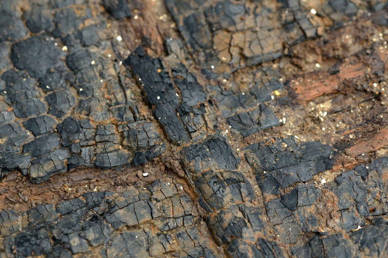 Close up of the dovetailed brace and charred surface of the Bronze Age Wheel. Copyright Cambridge Archaeological Unit, photo by Dave Webb