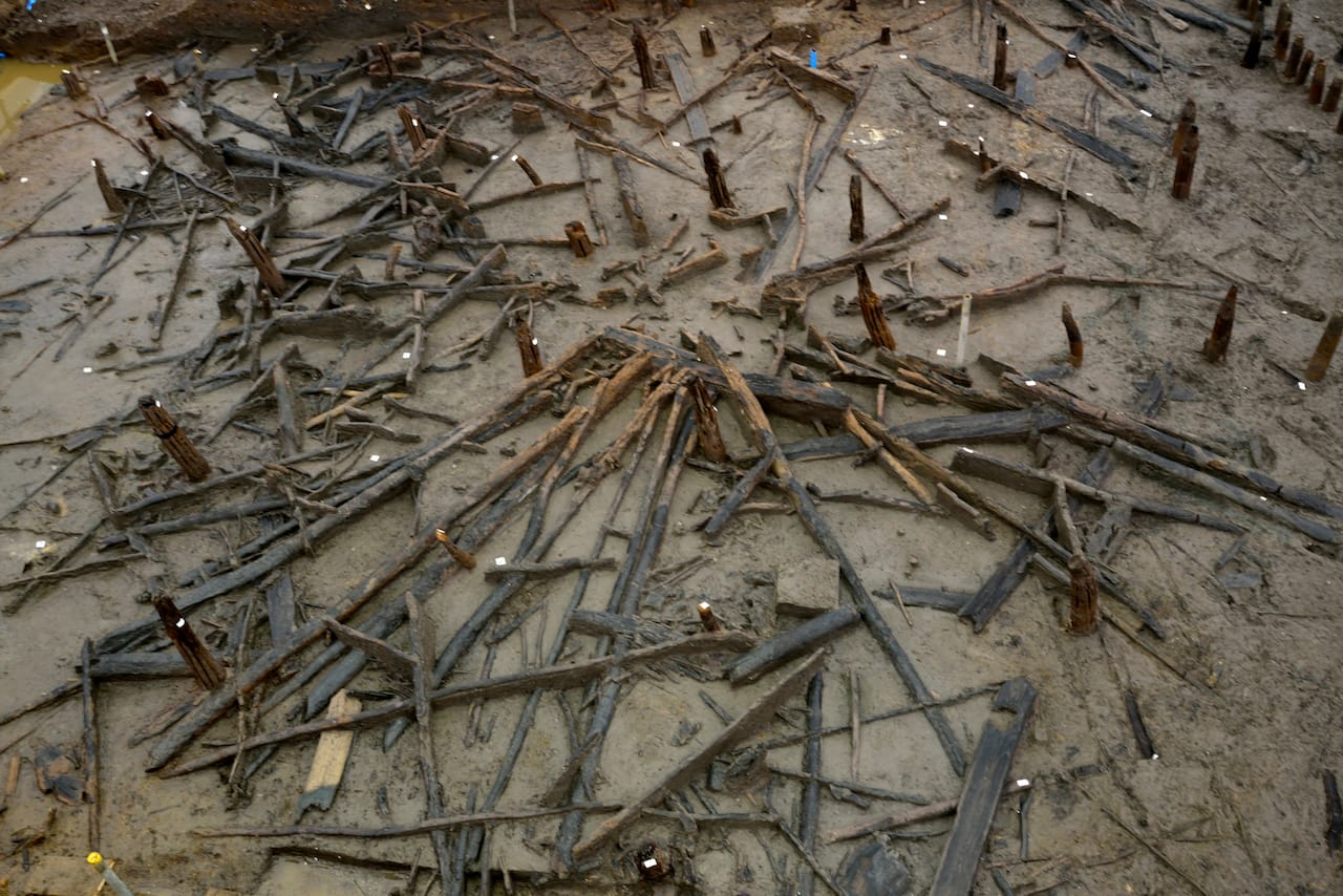A Bronze Age roundhouse in plan showing the inner and outer post rings and collapsed roof timbers 'like spokes in a wheel'. copyright Cambridge Archaeology Unit, photo Dave Webb