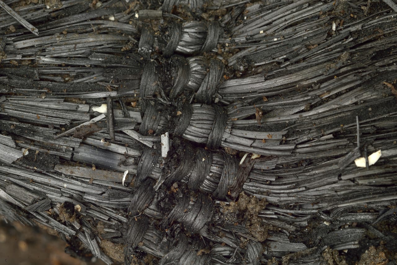 Bronze Age textile made from plant fibres. Copyright Cambridge Archaeology Unit, photo by Dave Webb