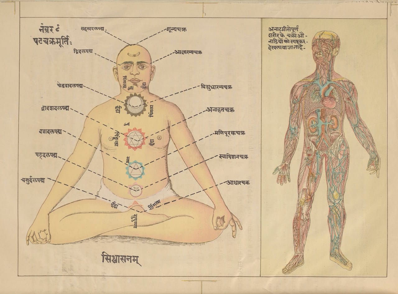 Credit: Wellcome Library, London. Wellcome Images