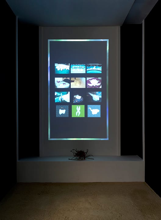Sara Ludy, "Low Prim Room" (2012–16), installation dimensions variable (click to enlarge)