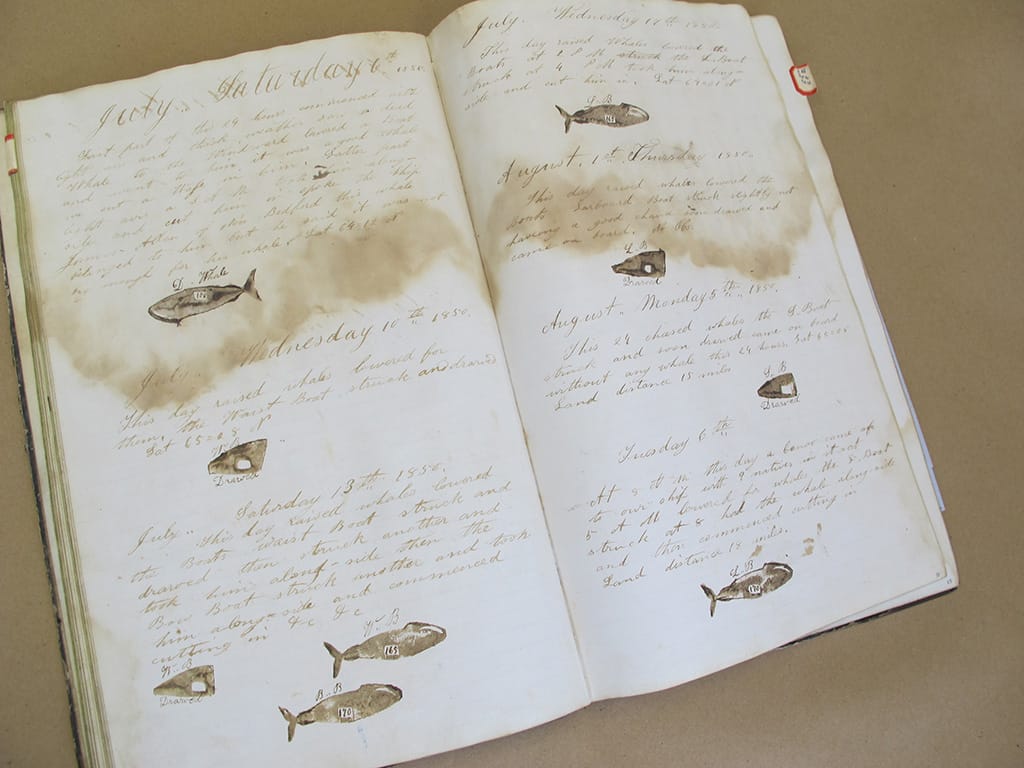 Whaling Logbooks