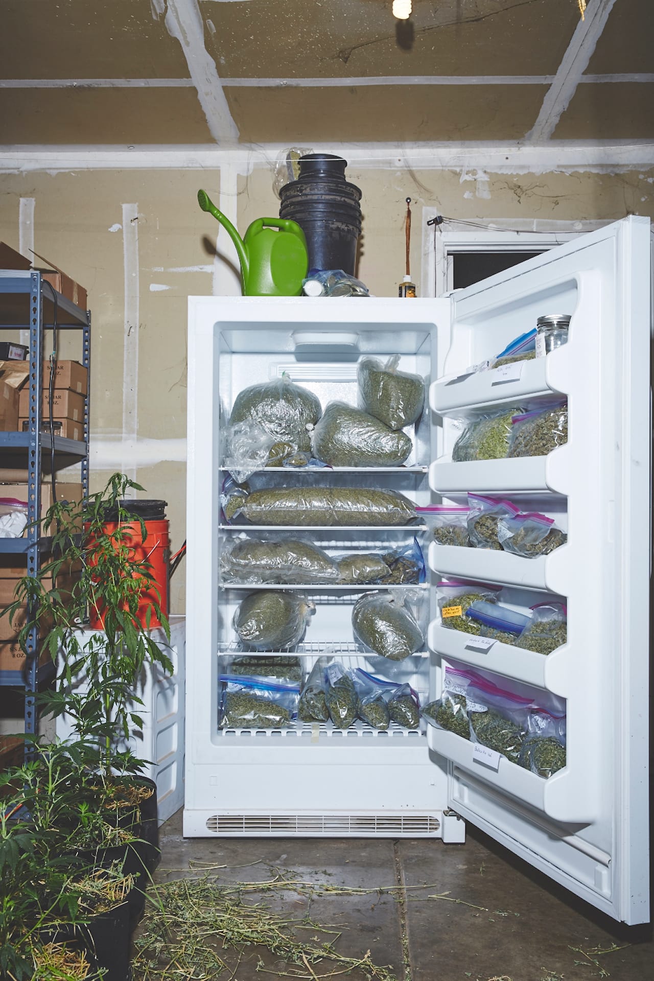 1066_SISTERS_OF_THE_VALLEY_A-1076