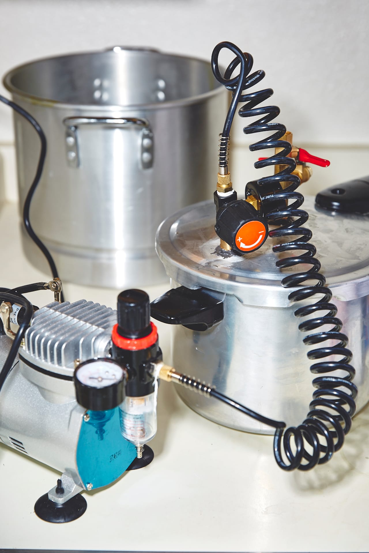 1066_SISTERS_OF_THE_VALLEY_A-2189