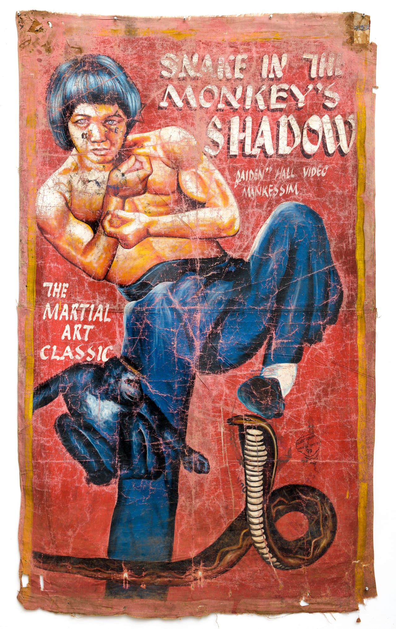 20. Gilbert Forson_Snake in the Monkey's Shadow