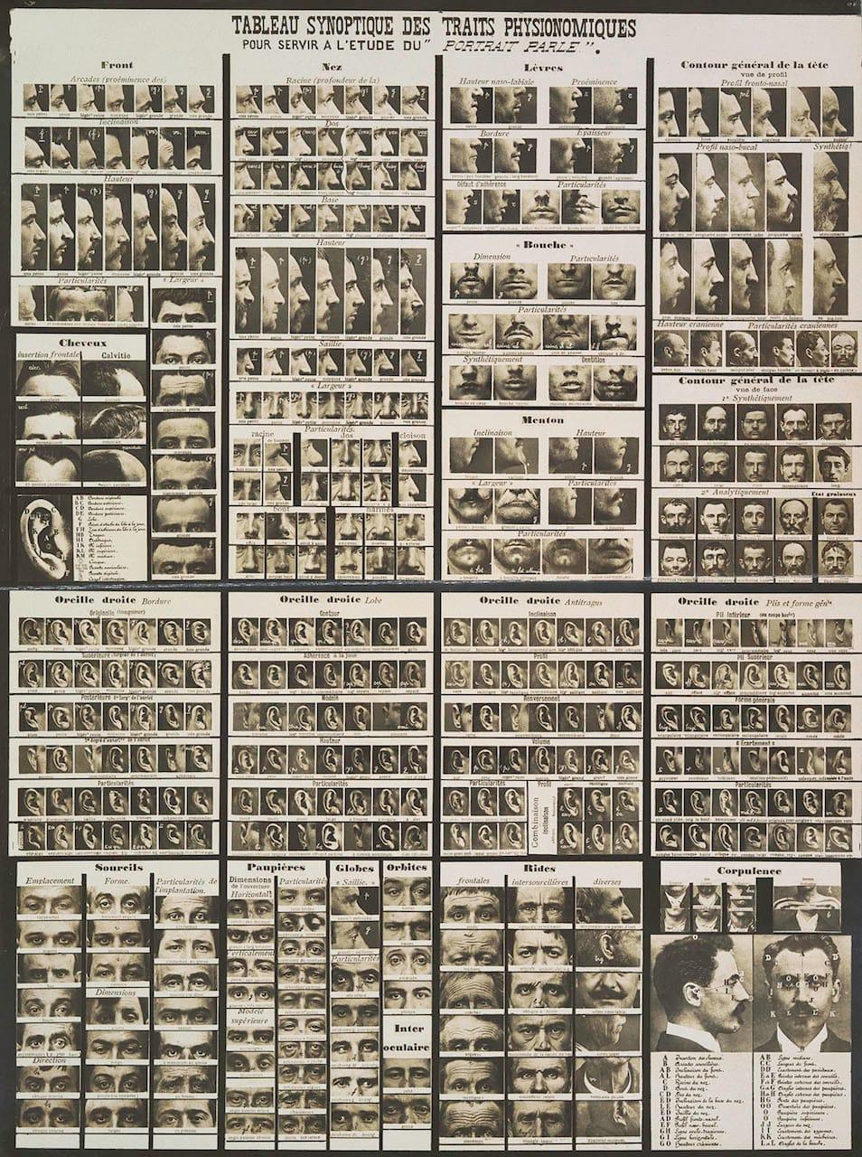 Alphonse Bertillon, "Summary Chart of Physical Traits for the Study or the 'Portrait Parlé'" (1909), gelatin silver print (courtesy the Metropolitan Museum of Art)
