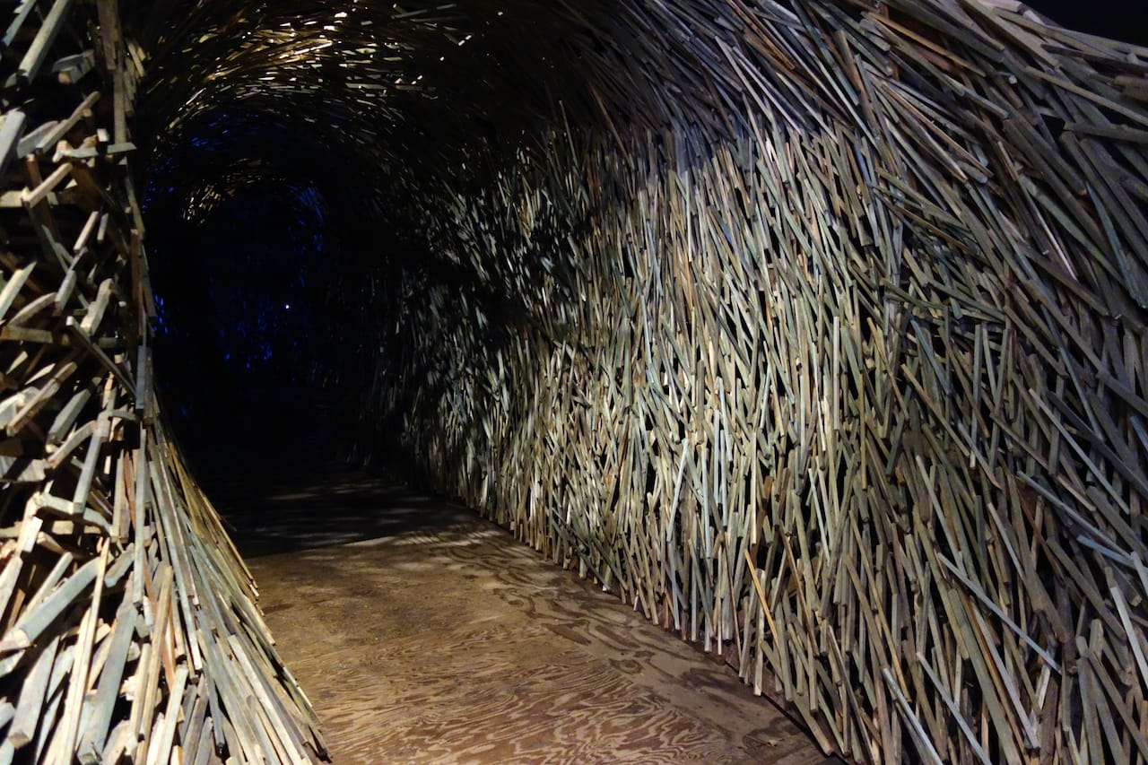 'Anima' installation at the Invisible Dog