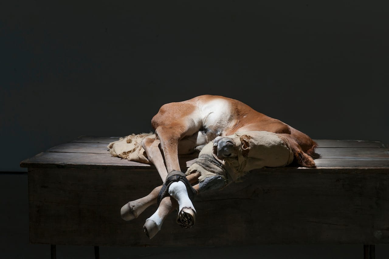 Berlinde De Bruyckere, "to Zurbarán" (2015), horse skin, fabric, wood, iron, and polyester (photo by Mirjam Devriendt)