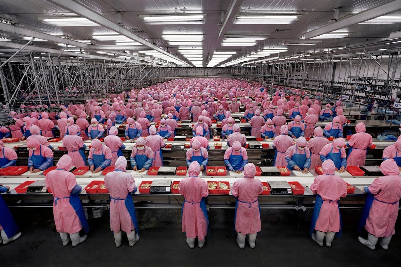 Edward Burtynsky, "Manufacturing #17, Deda Chicken Processing Plant, Dehui City, Jilin Province, China" (2005), chromogenic print (collection Art Gallery of Ontario; ©Edward Burtynsky)