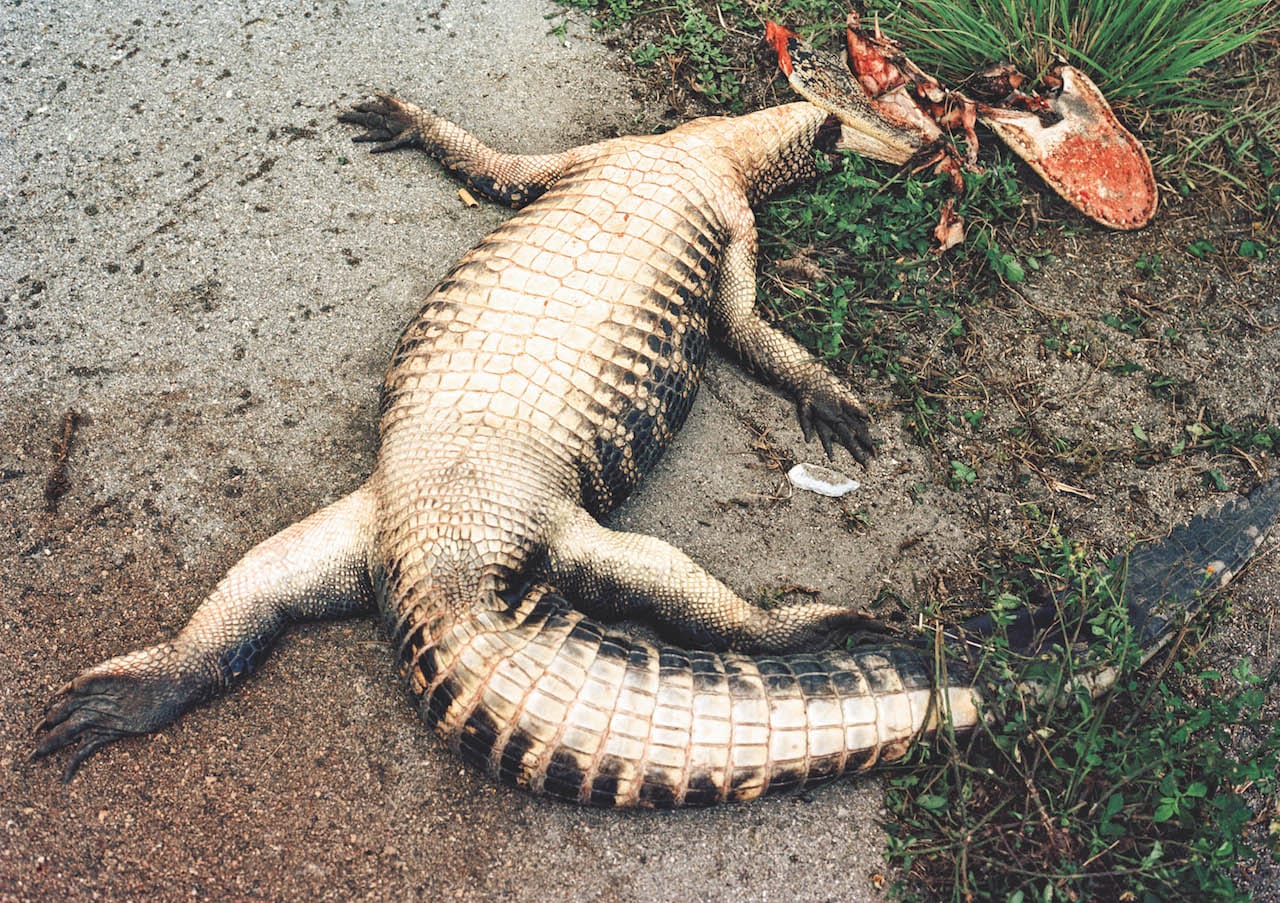 ENVELOPE_FRAME_09_EDIT