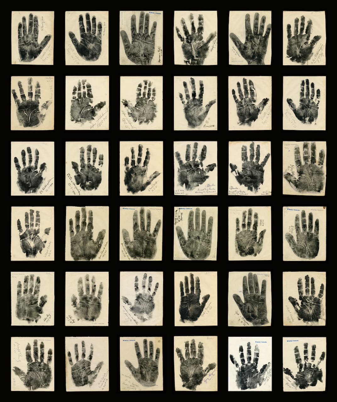 Marianne Raschig, "Collection of Original Vintage Palm Prints" (Berlin, 1925-35), ink and graphite on paper (courtesy Ricco/Maresca Gallery)