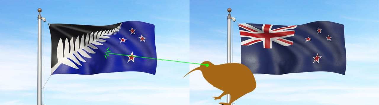 The kiwi from James Gray's "Fire the Lazer!" and Kyle Lockwood's silver fern flag could not beat the original flag's design (image by the author for Hyperallergic) 