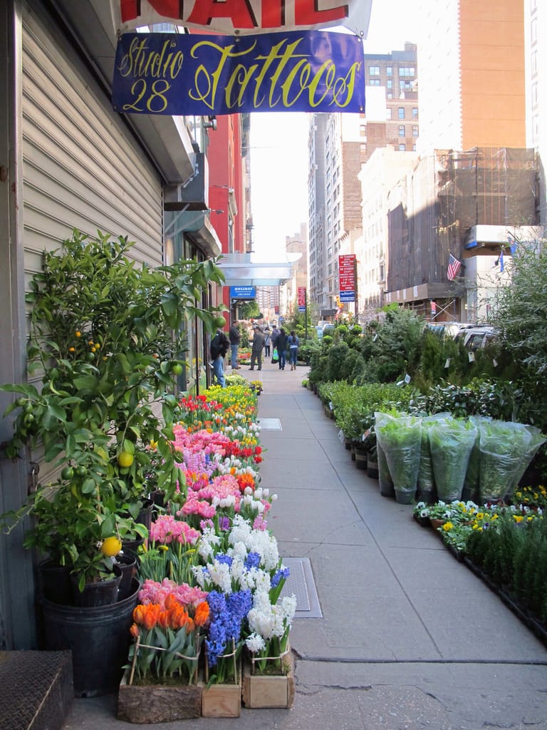 Flowers lining the sidewalk on West 28th Street in Chelsea (photo by Kristine Paulus/Flickr)