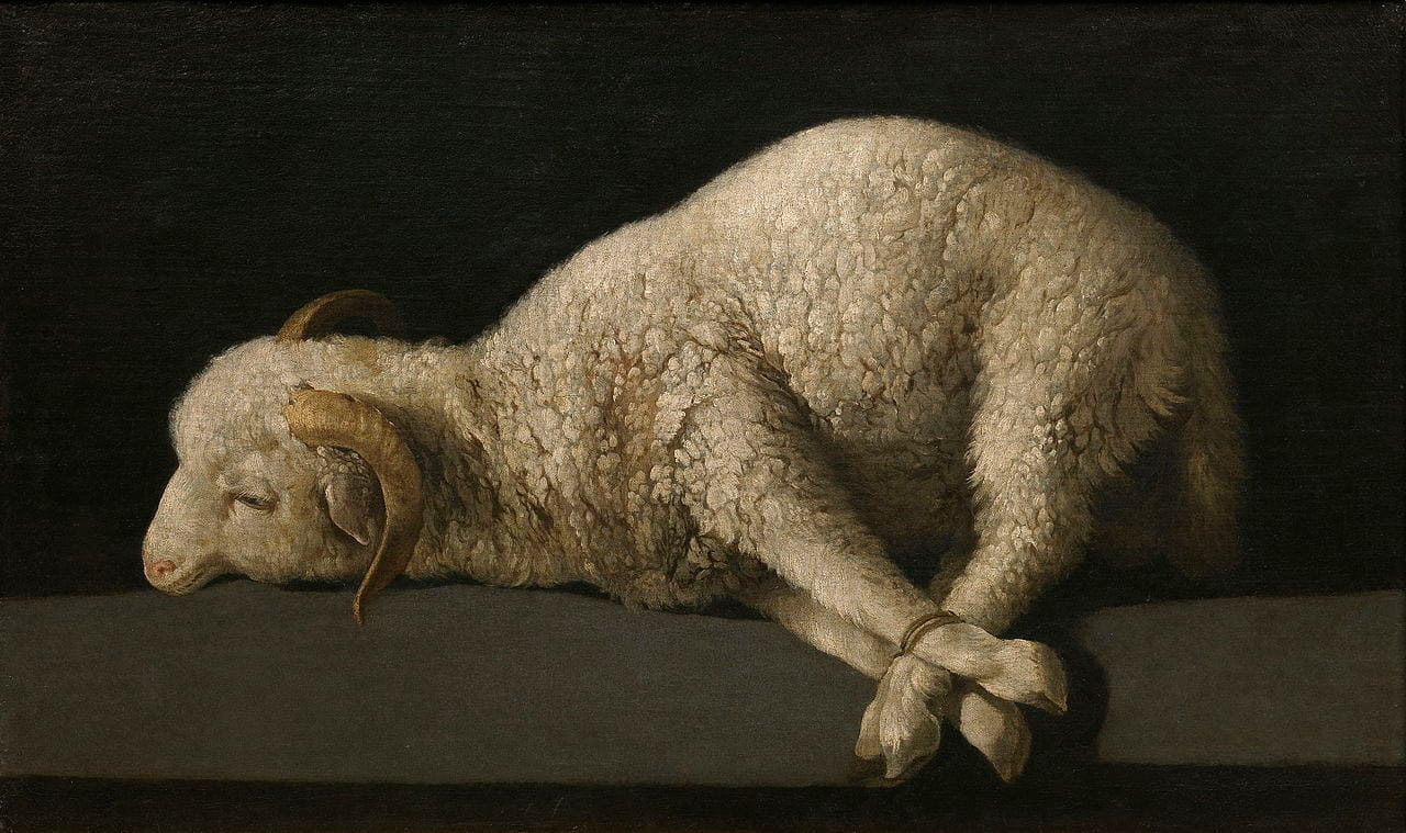 Francisco de Zurbarán, "Agnus Dei" ("The Lamb of God," 1635–40) (Museo del Prado, Madrid; via Wikimedia Commons)