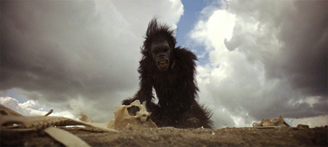 All GIFs from "2001: A GIF Odyssey"