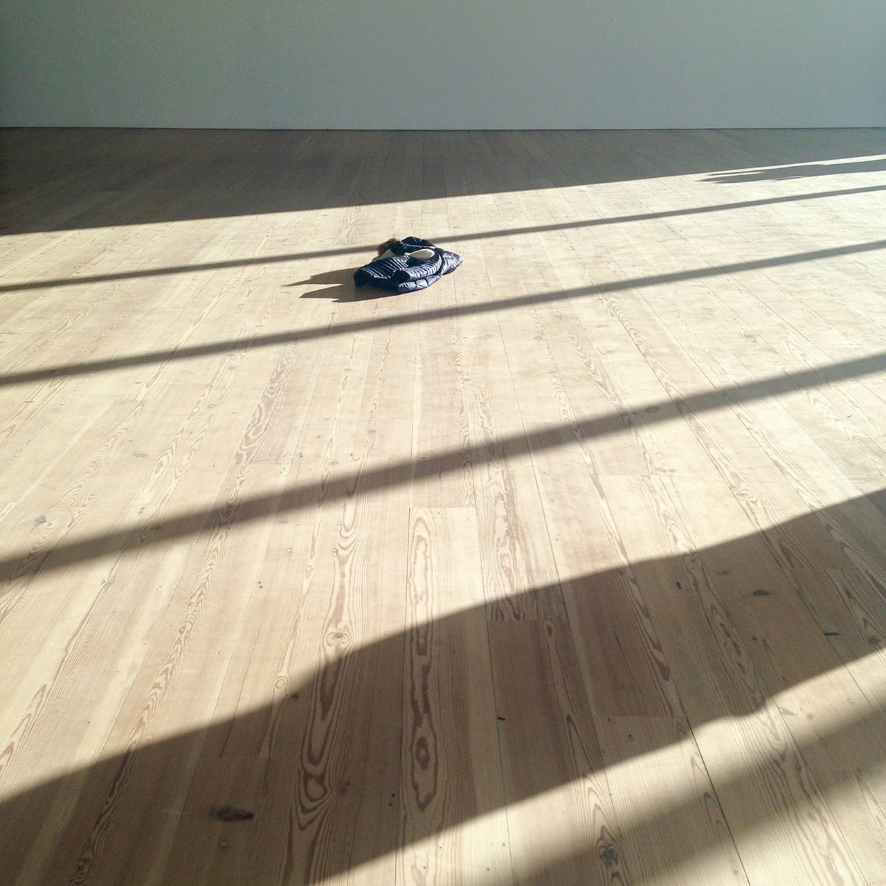 'Open Plan: Andrea Fraser' at the Whitney Museum of American Art