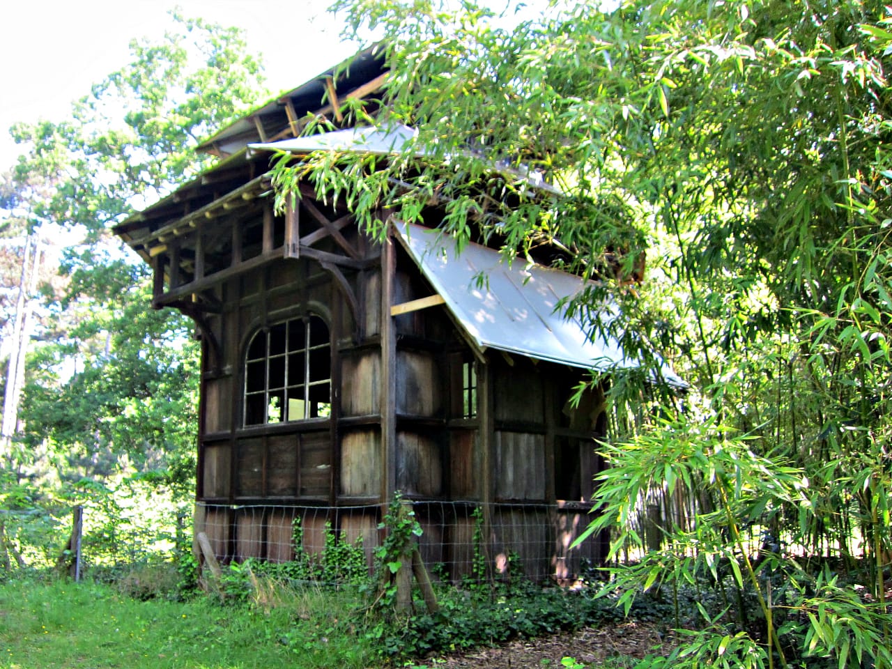 Ruins of the Jardin d'Agronomie Tropicale