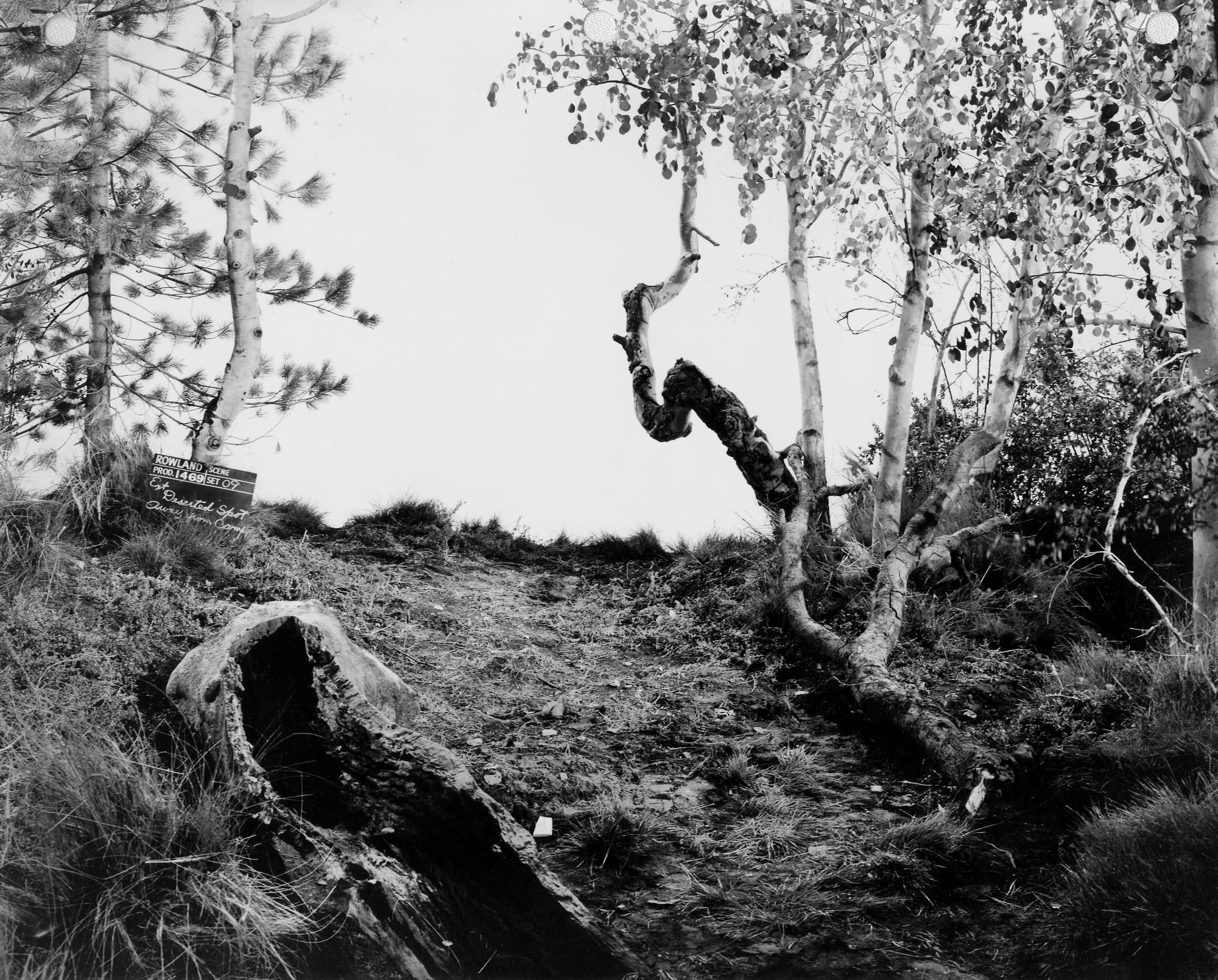 John Divola. Continuity: Artificial Nature #1-36, 2002 (Shown: Image #13). 36 found gelatin silver prints from c. 1930-60. Each print is 8 x 10 inches. Los Angeles County Museum of Art, Purchased with funds provided by the Ralph M. Parsons Fund and the Photographic Arts Council, 2013. Images courtesy of the artist.