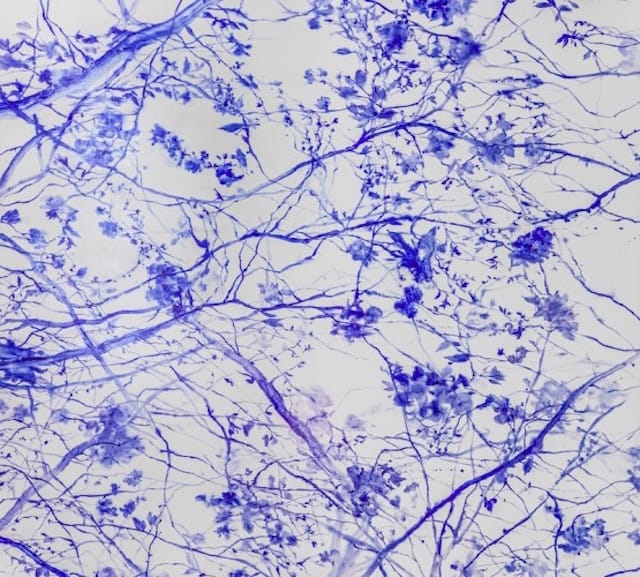 Keun Woo Lee "Blue Forest 5 " (2015) (image courtesy of JanKossen Contemporary) 