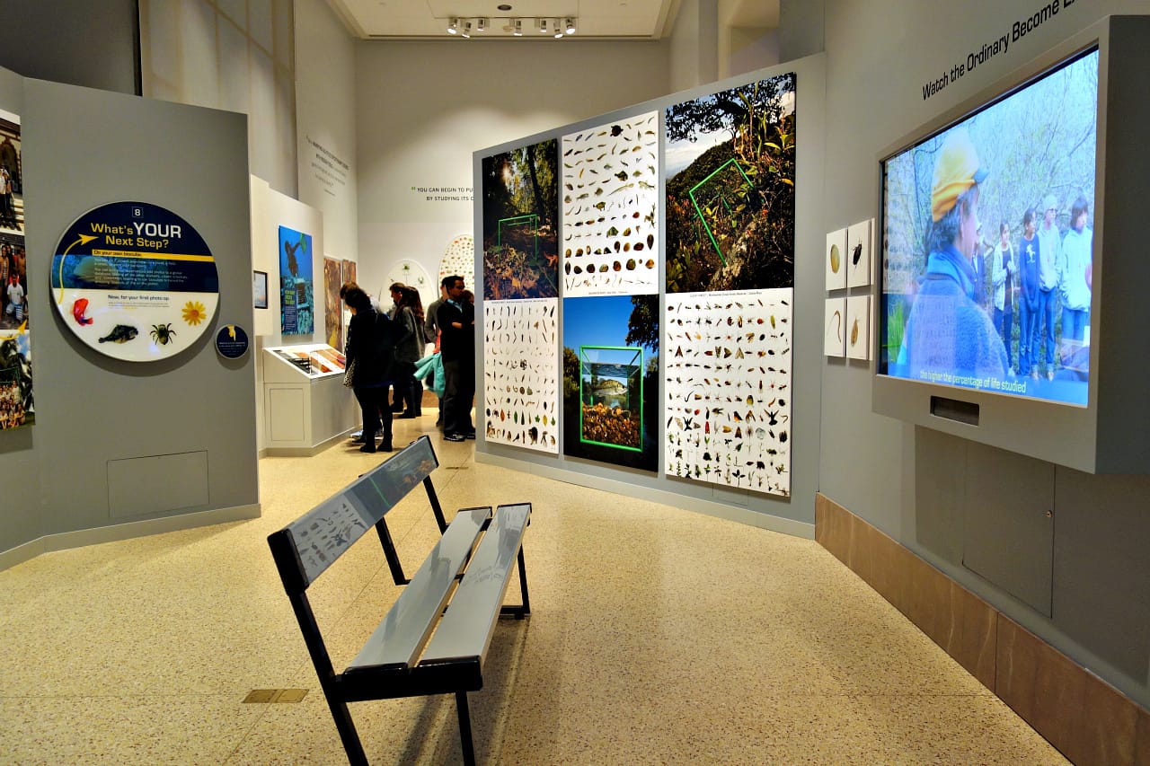 Installation view of 'Life in One Cubic Foot' at the Smithsonian Natural History Museum (photo by the author for Hyperallergic)