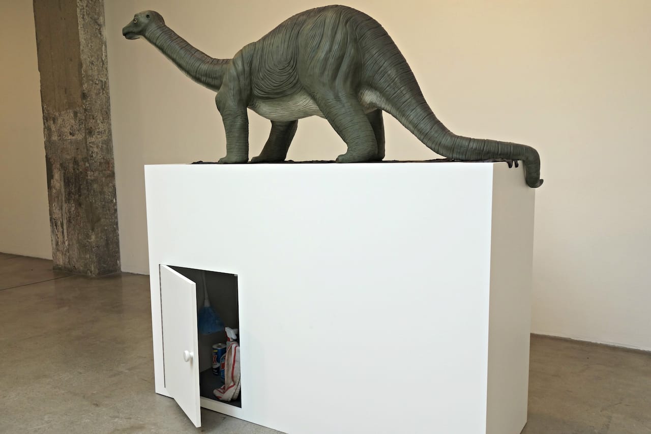 Installation view of 'The Library for the Birds of New York and Other Marvels' at Tanya Bonakdar Gallery 