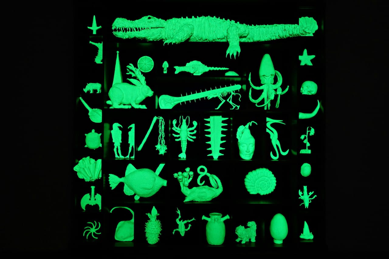 Installation view of 'The Library for the Birds of New York and Other Marvels' at Tanya Bonakdar Gallery 