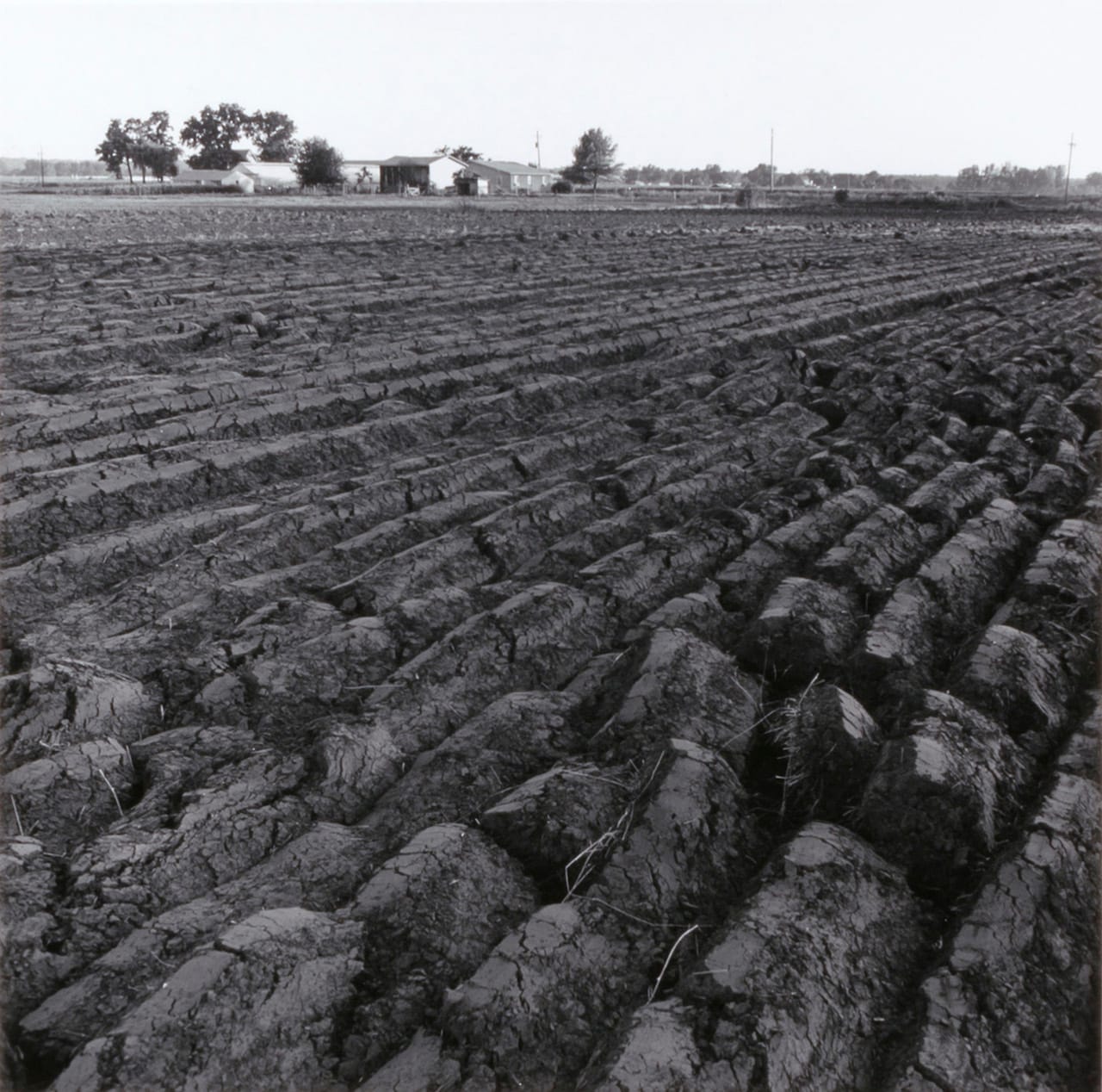 No Mountains in the Way: Photographs from the Kansas Documentary Survey, 1974