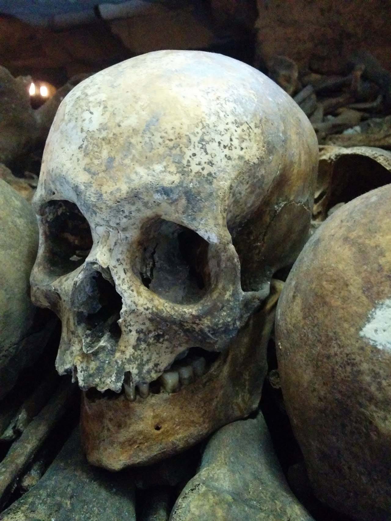 A skull in the Paris Catacombs (photo © André Arden)