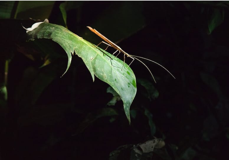 Spotlight, video still courtesy of Fresh Window