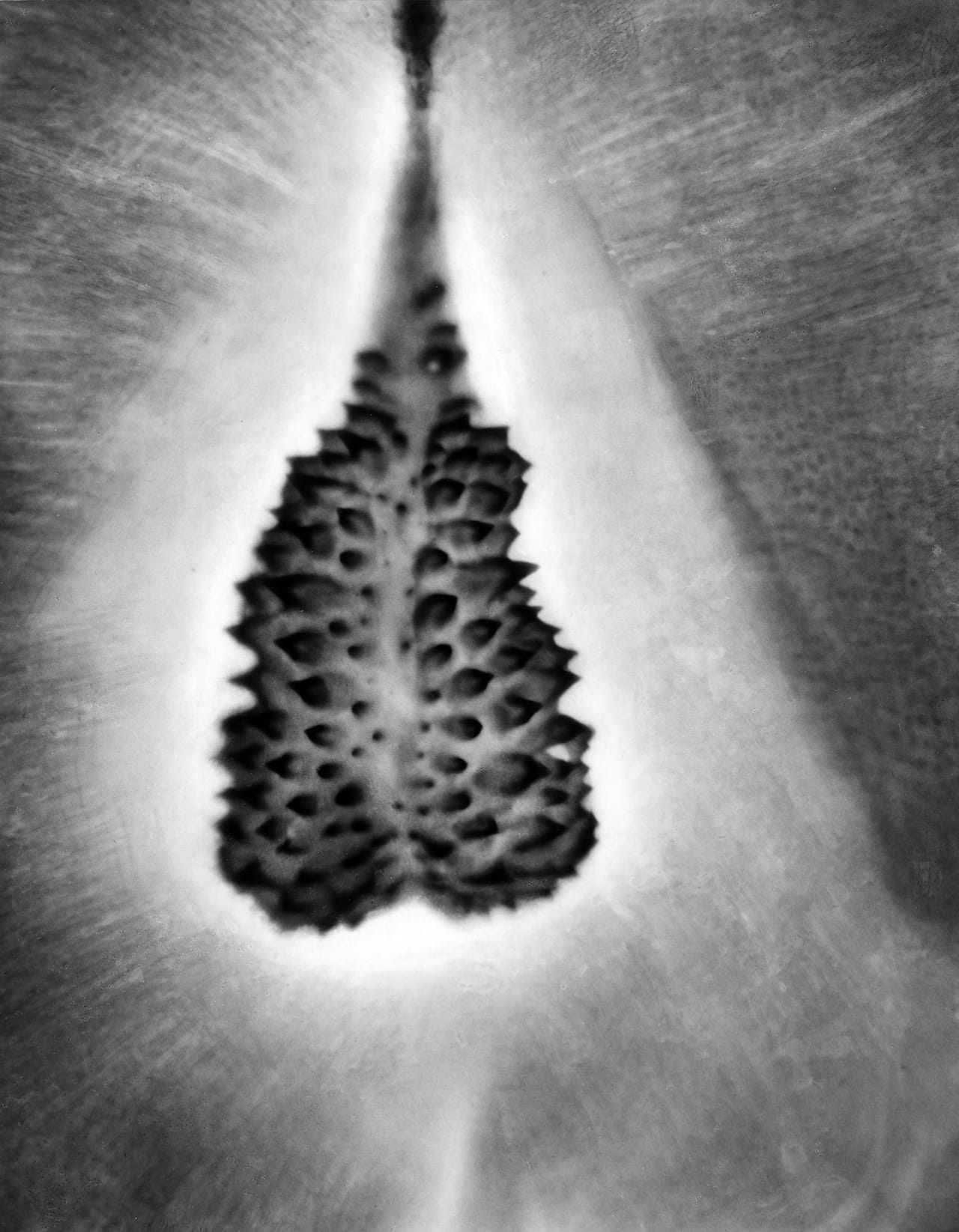 STR-1-008,1927-Taf.8