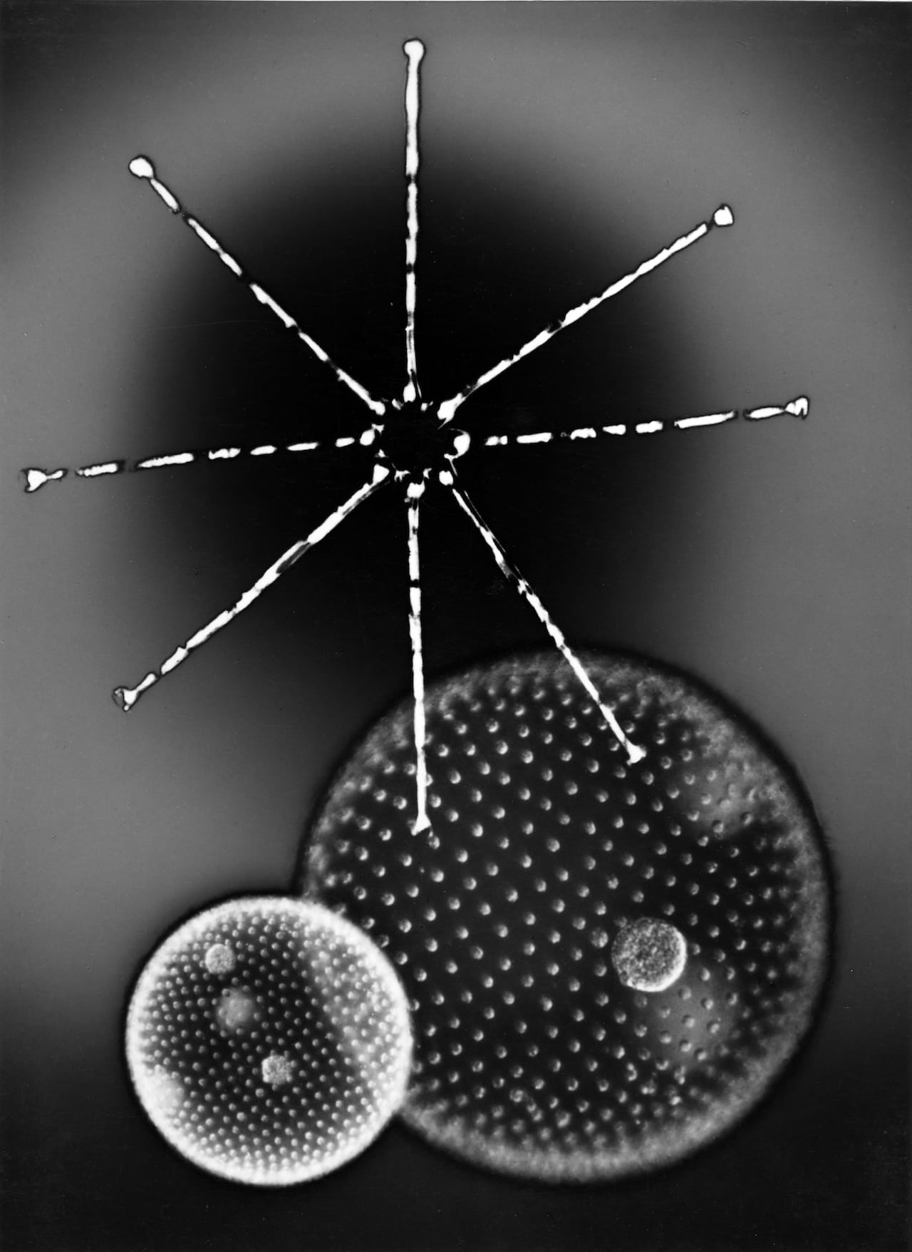 STR-1-172,1952-Taf.90