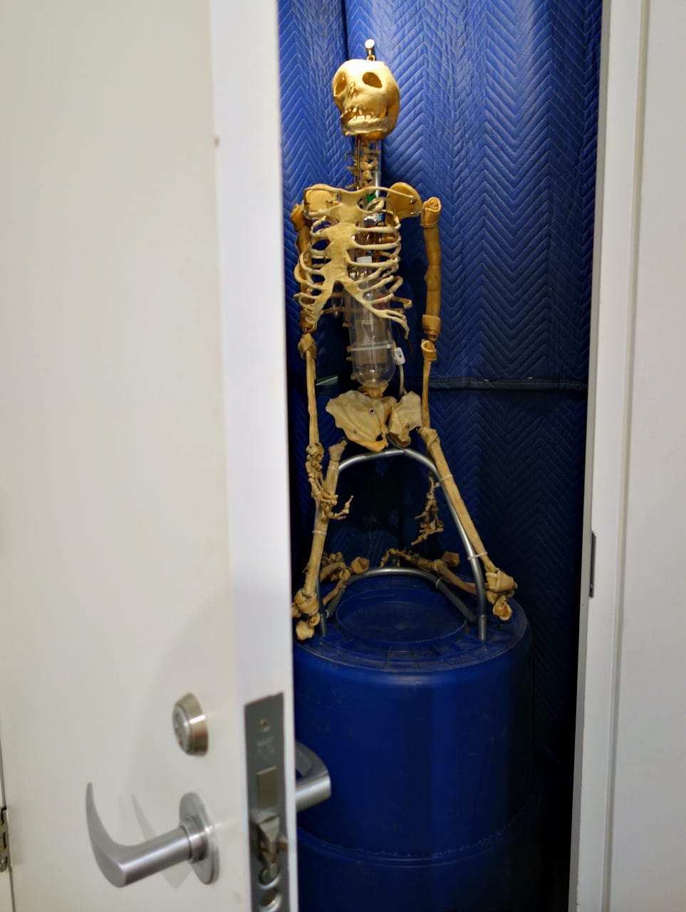 Tim Hawkinson: Counterclockwise