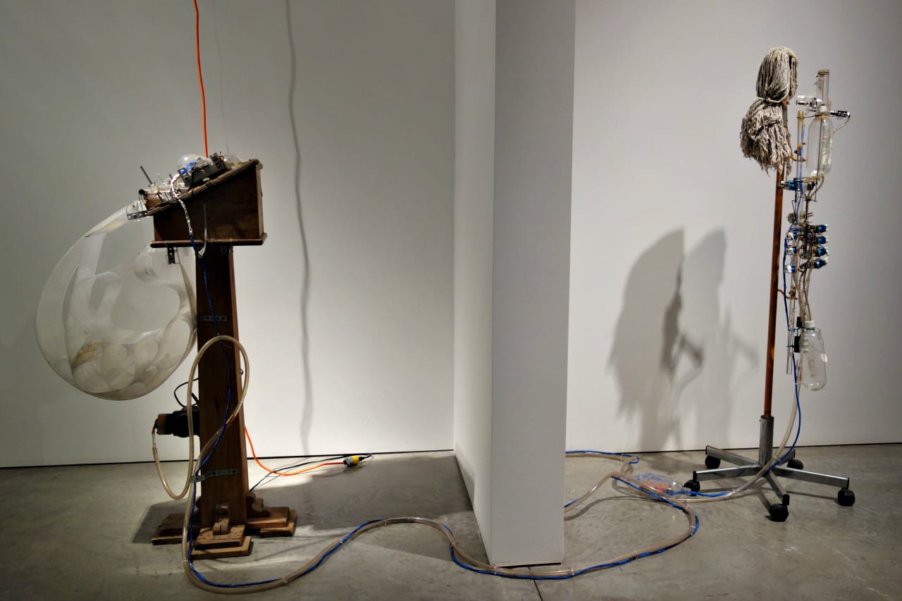 Tim Hawkinson: Counterclockwise