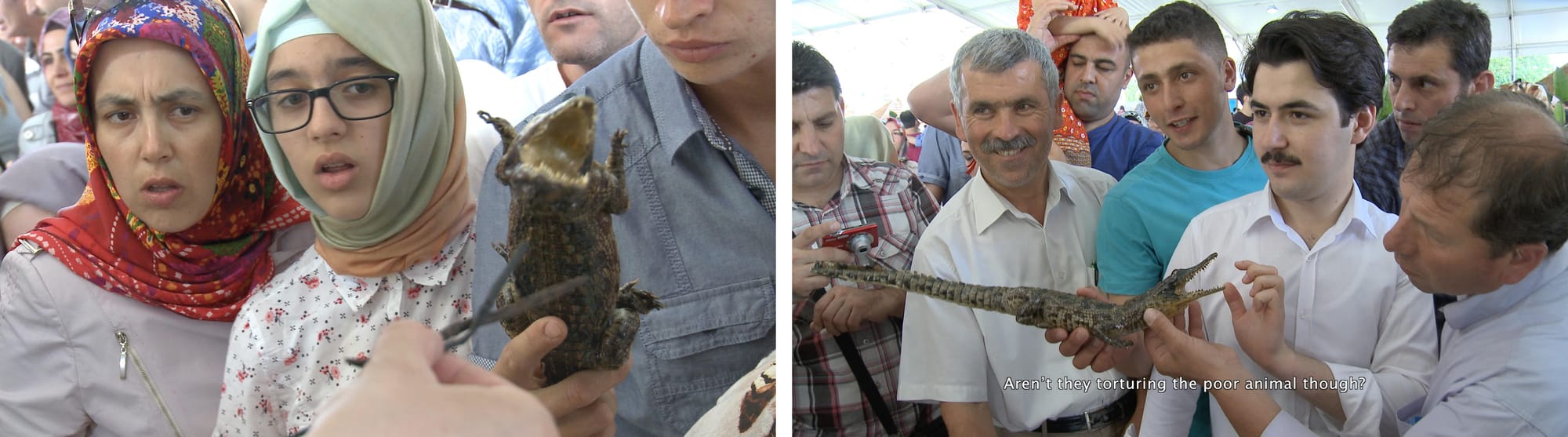 Ergun, "Young Turks" (click to enlarge)