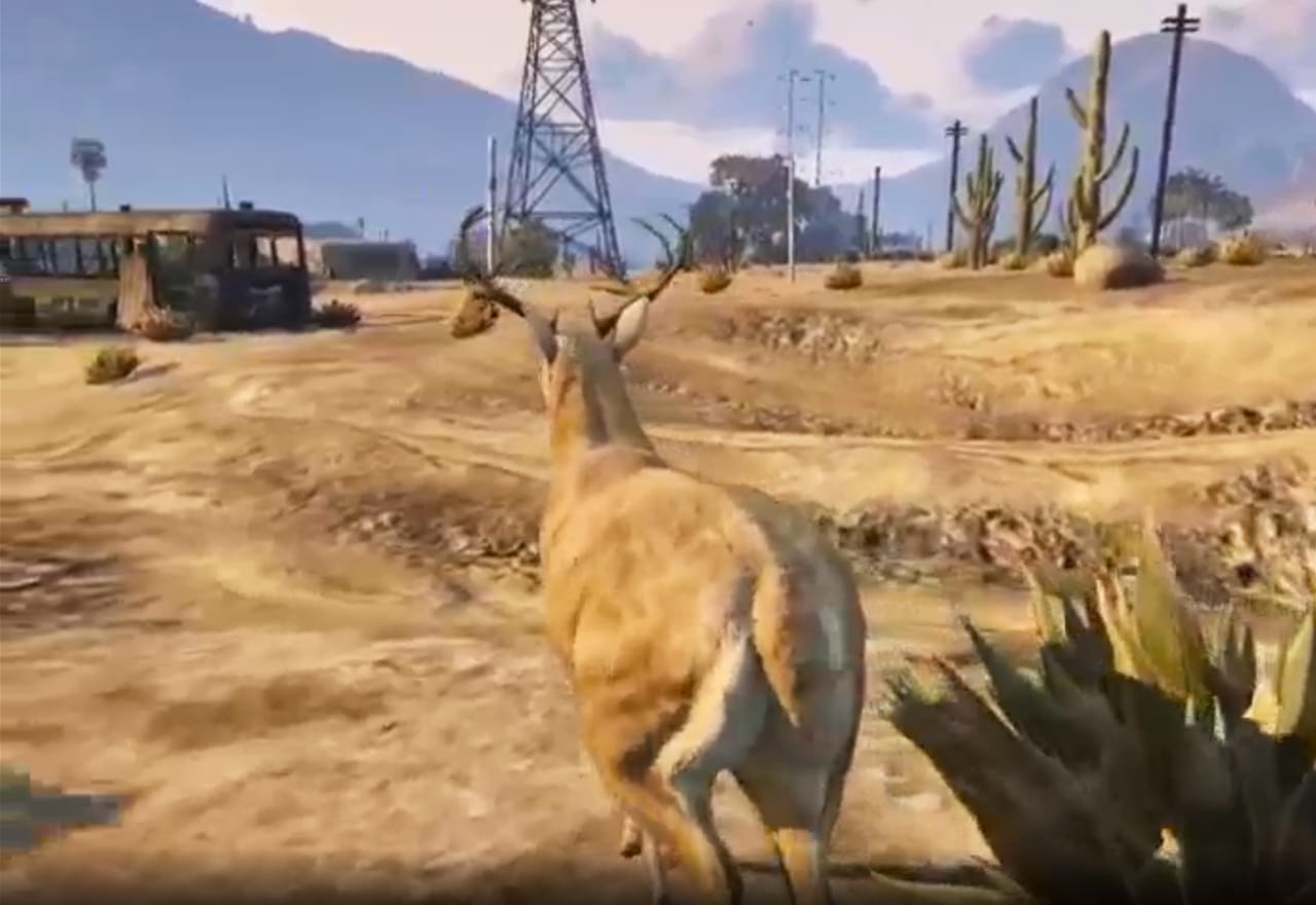 A still from Brent Watanabe's "San Andreas Streaming Deer Cam" (2015–16) (screenshot by Hyperallergic)