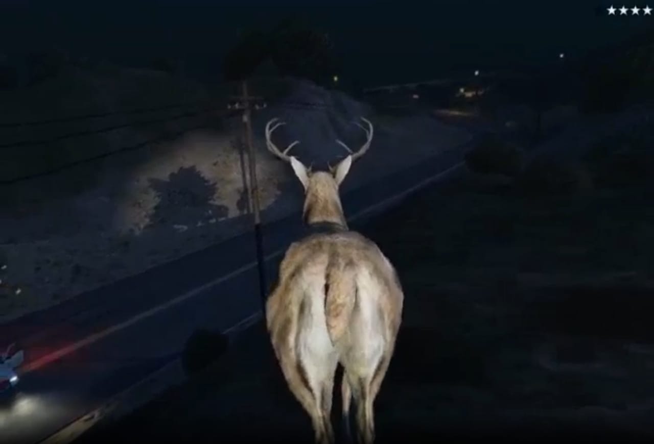 A still from Brent Watanabe's "San Andreas Streaming Deer Cam" (2015–16) (screenshot by Hyperallergic)