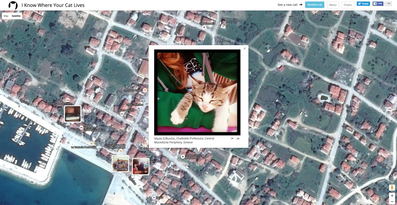 I Know Where Your Cat Lives (screenshot by the author for Hyperallergic)