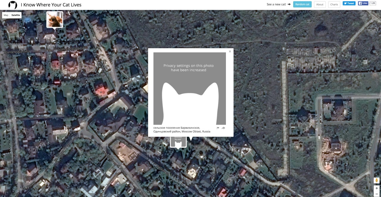 I Know Where Your Cat Lives (screenshot by the author for Hyperallergic)