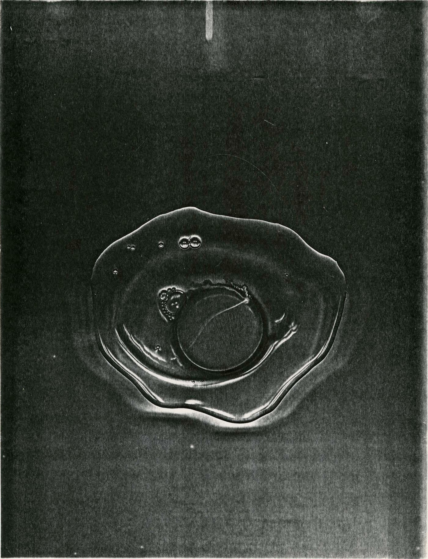 4. egg PH Scan 24bit Color 600 dpi (4MB)