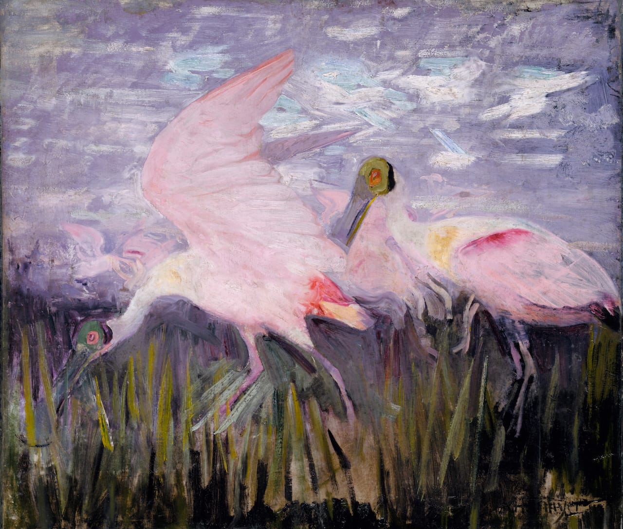 Abbott Handerson Thayer, "Roseate Spoonbills," study for 'Concealing Coloration in the Animal Kingdom' (1905-09), oil on paperboard (courtesy Smithsonian American Art Museum, gift of the heirs of Abbott Handerson Thayer)