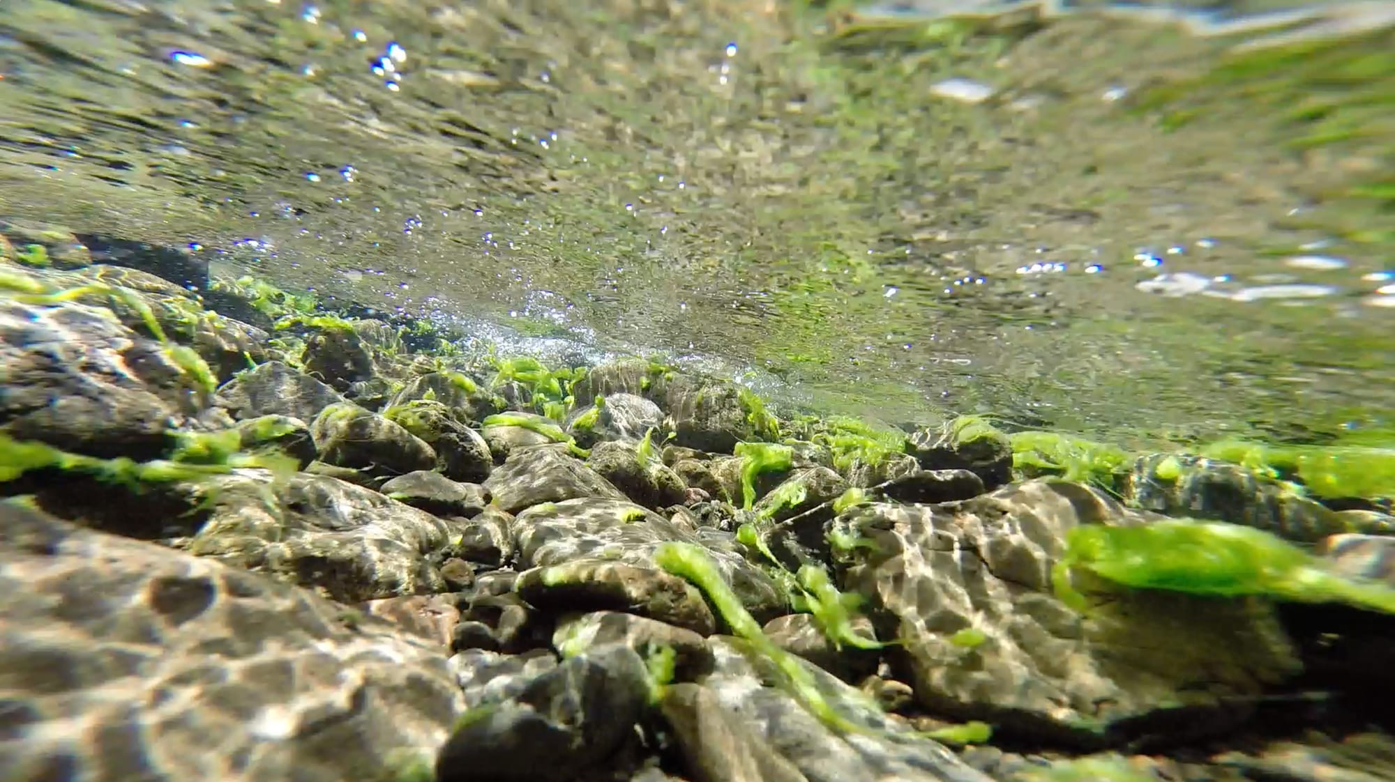 Helen Frederick, "Acts of Silence" (2015), video still