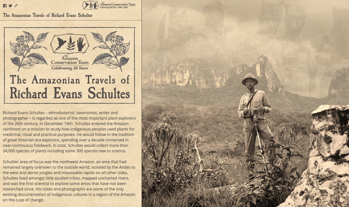 'The Amazonian Travels of Richard Evans Schultes' (screenshot by the author for Hyperallergic)