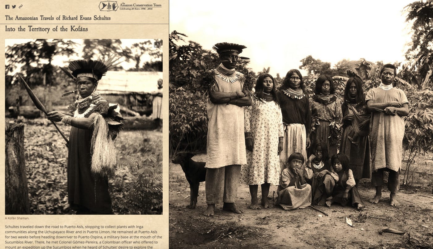 'The Amazonian Travels of Richard Evans Schultes' (screenshot by the author for Hyperallergic)