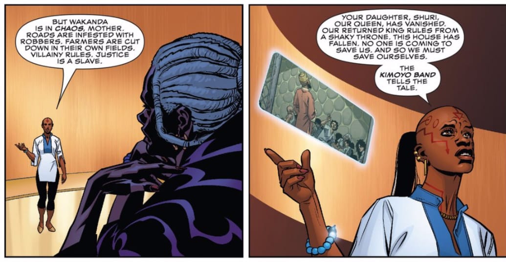 Detail of a page from 'Black Panther' (screenshot by the author for Hyperallergic)