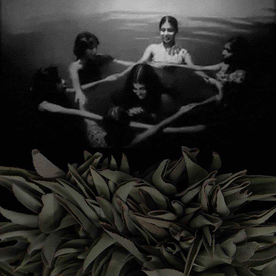 Brujaja (via facebook)