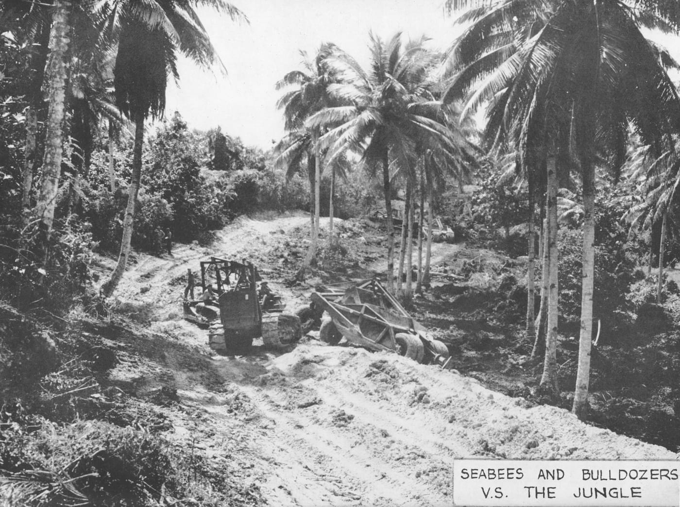 Seabee tearing down trees in the jungle (courtesy Yale University Press)