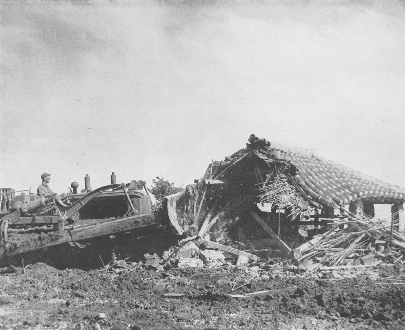 Bulldozer by Francesca Ammon 